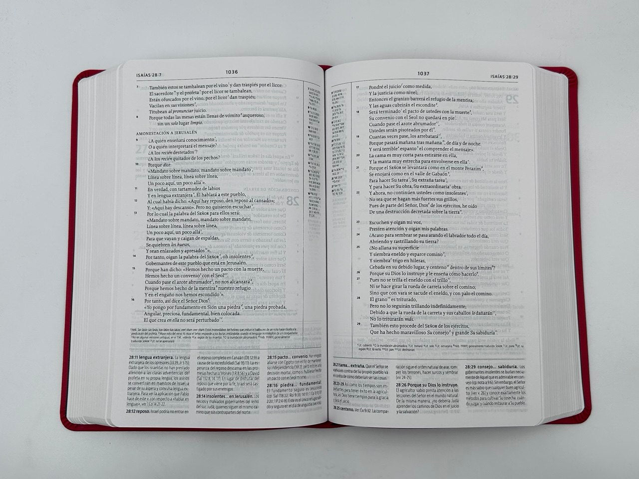 Biblia de Estudio de La Reforma NBLA Edición Condensada Simil piel roja