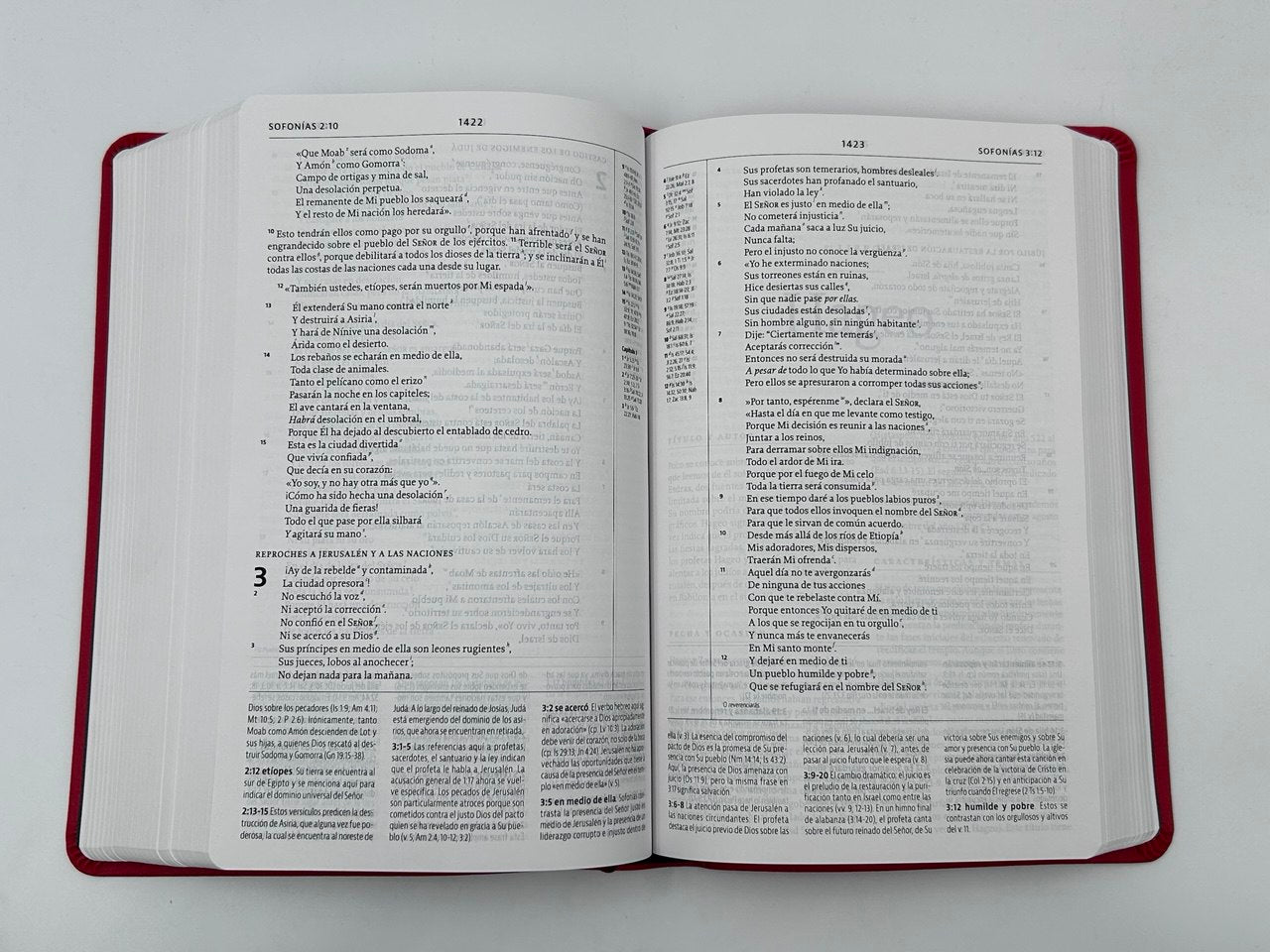 Biblia de Estudio de La Reforma NBLA Edición Condensada Simil piel roja