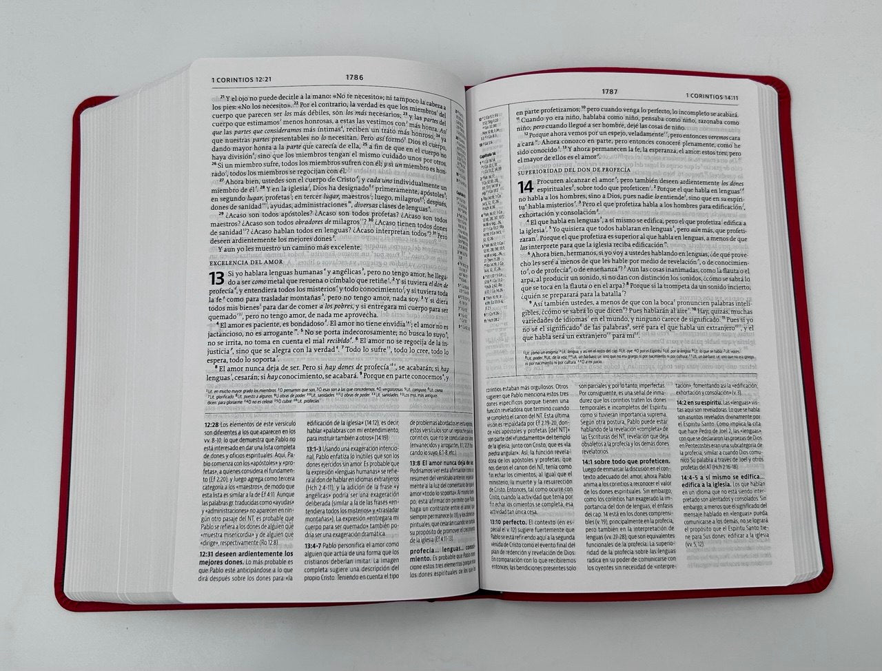 Biblia de Estudio de La Reforma NBLA Edición Condensada Simil piel roja