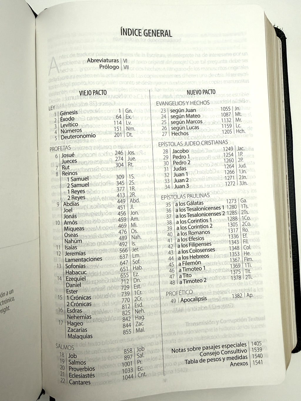Biblia Textual IV piel