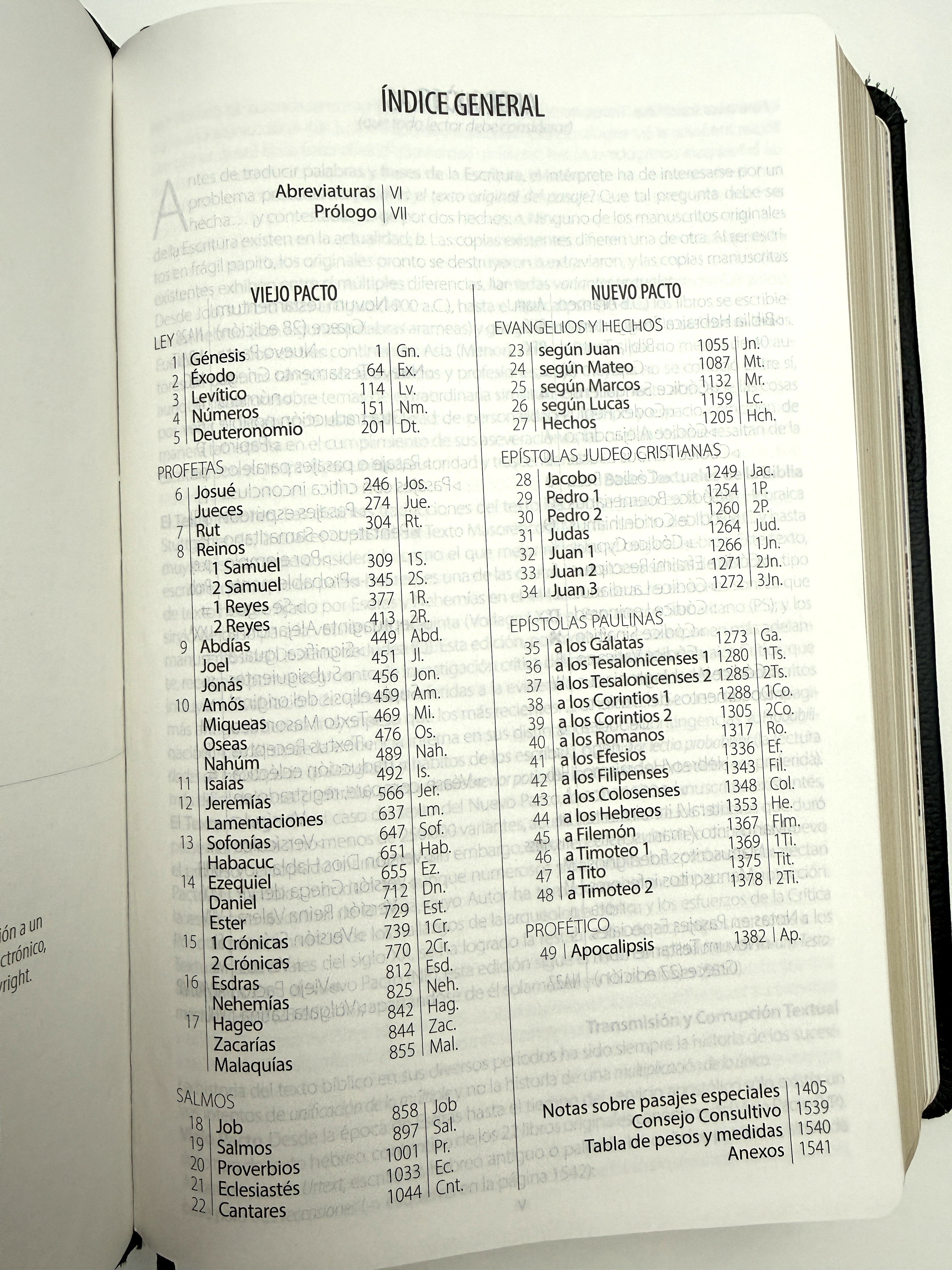 Biblia Textual IV piel