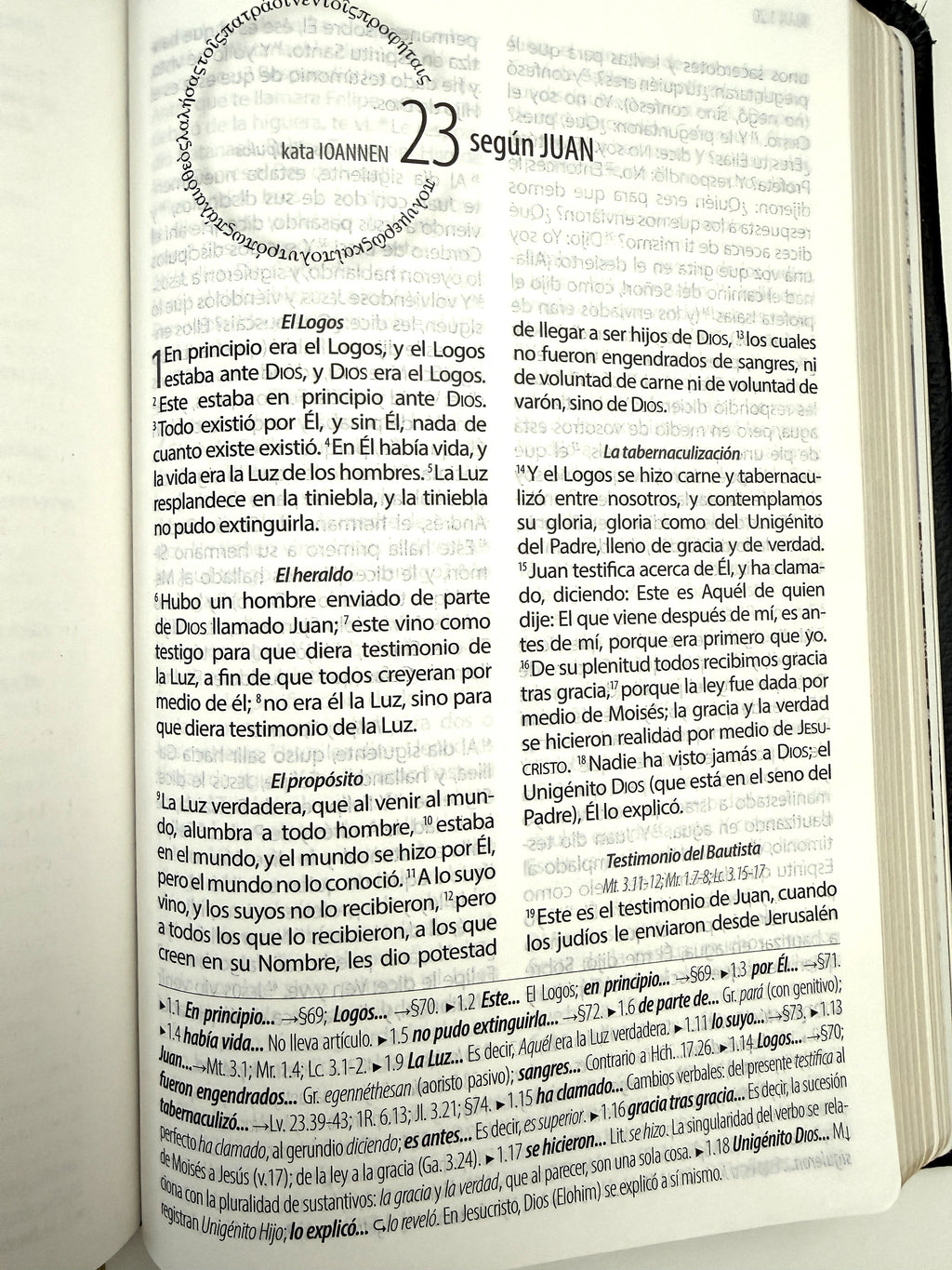 Biblia Textual IV piel
