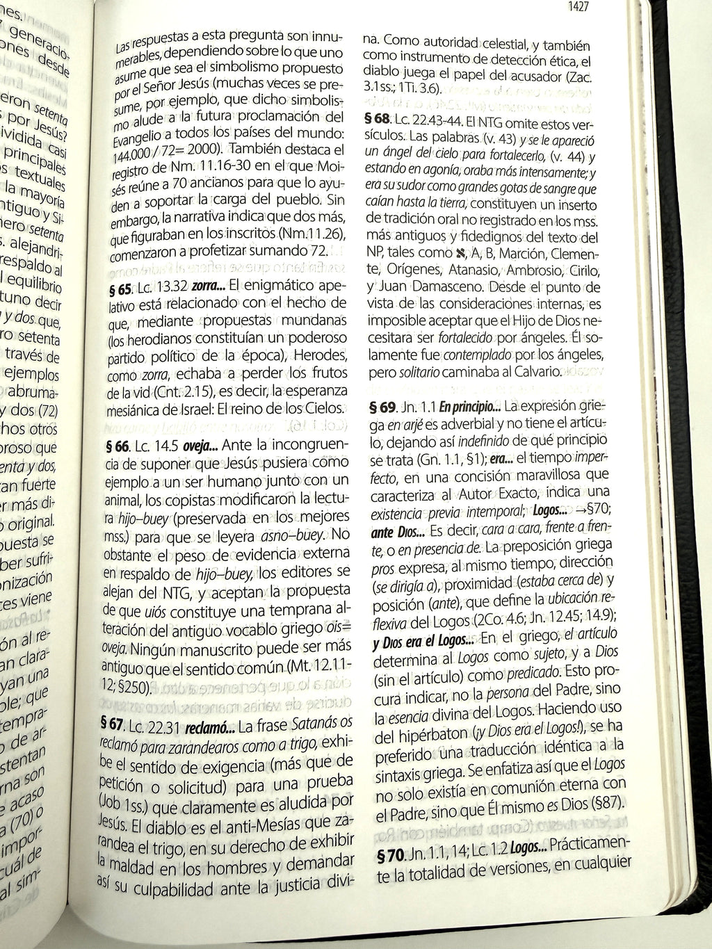 Biblia Textual IV piel