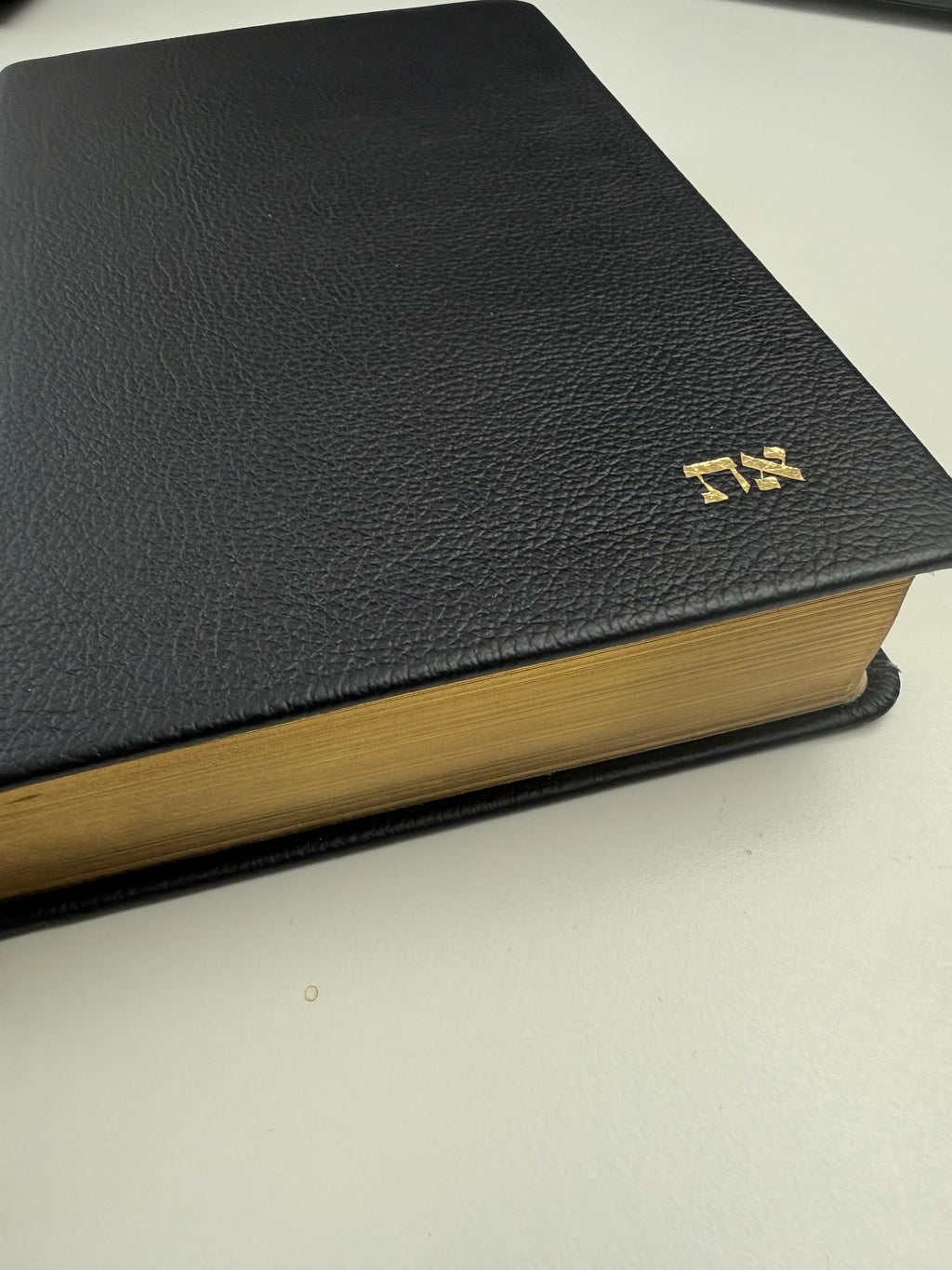 Biblia Textual IV piel