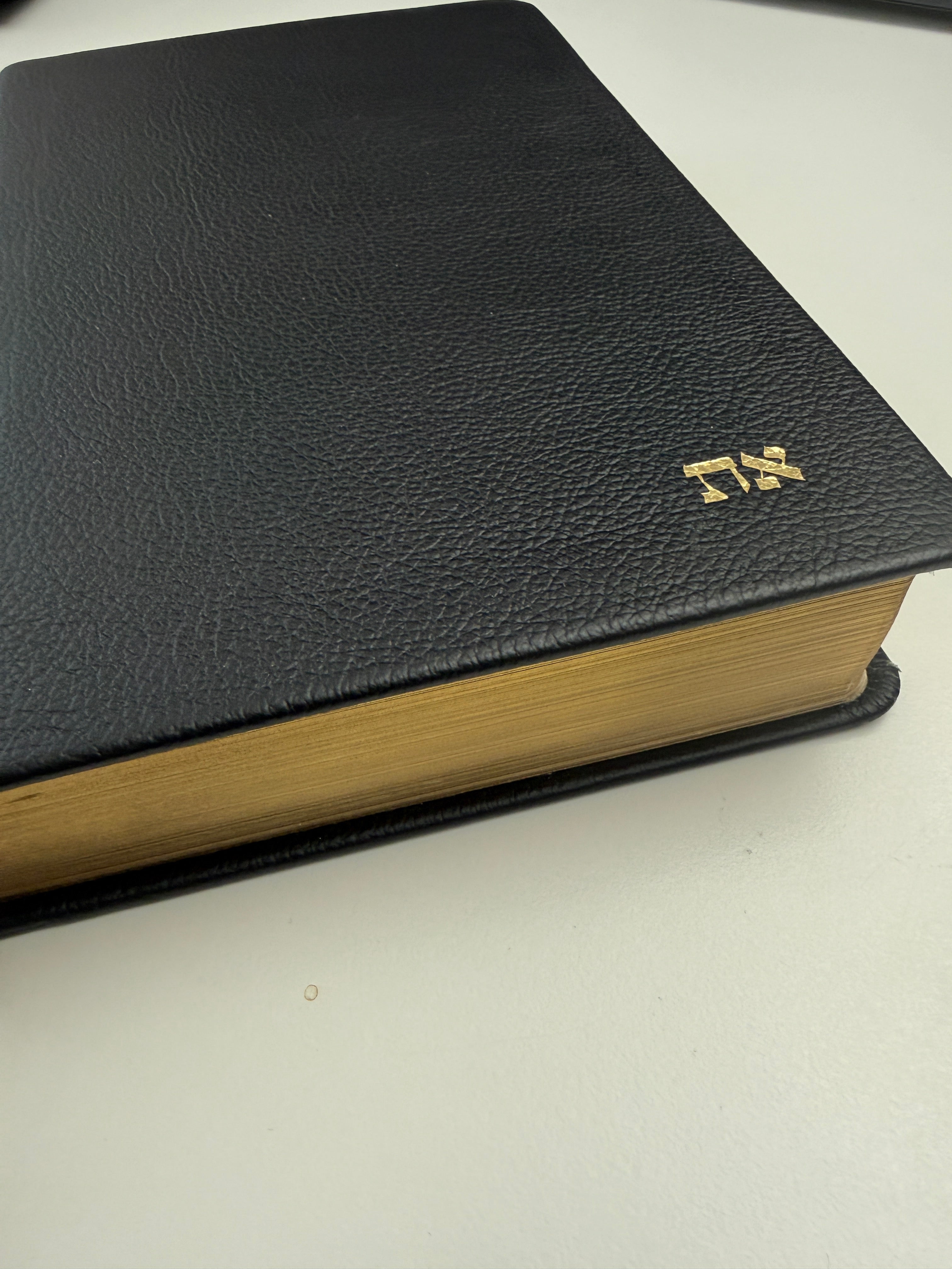 Biblia Textual IV piel