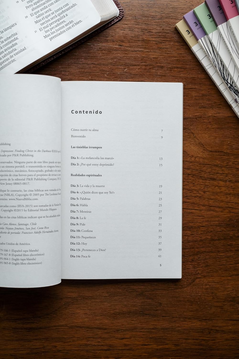 La Depresión: Encuentra a Cristo En Las Tinieblas (31 Días: Devocionales Para la Vida)