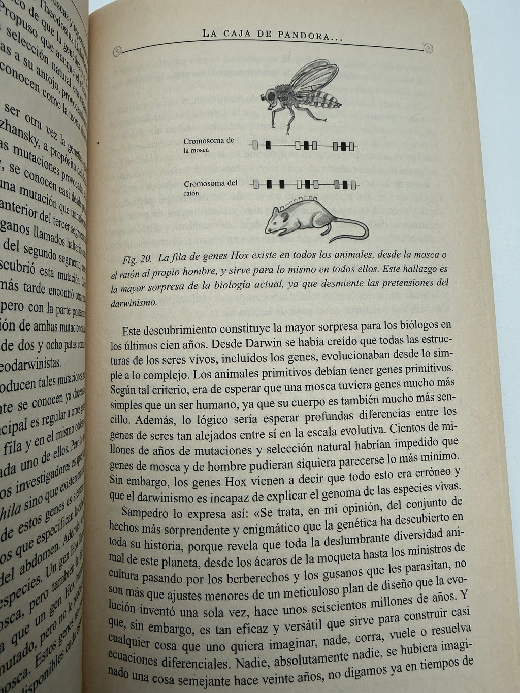Darwin no mató a Dios