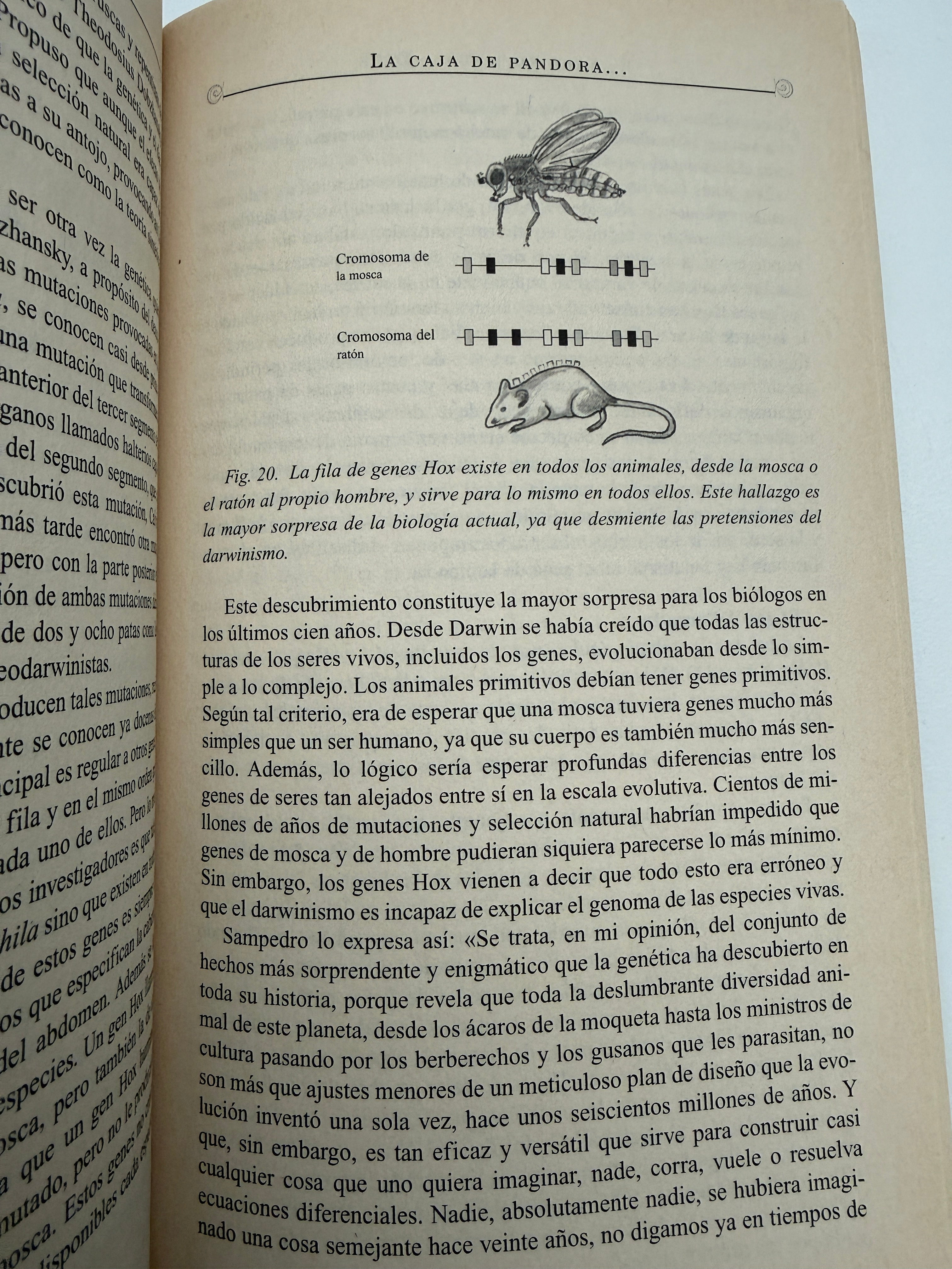 Darwin no mató a Dios