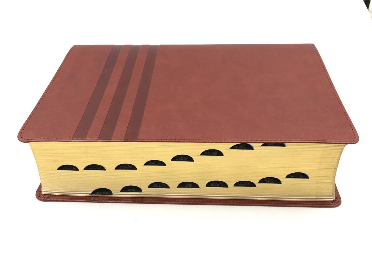 Biblia de estudio Teología Bíblica NVI piel marrón con índice