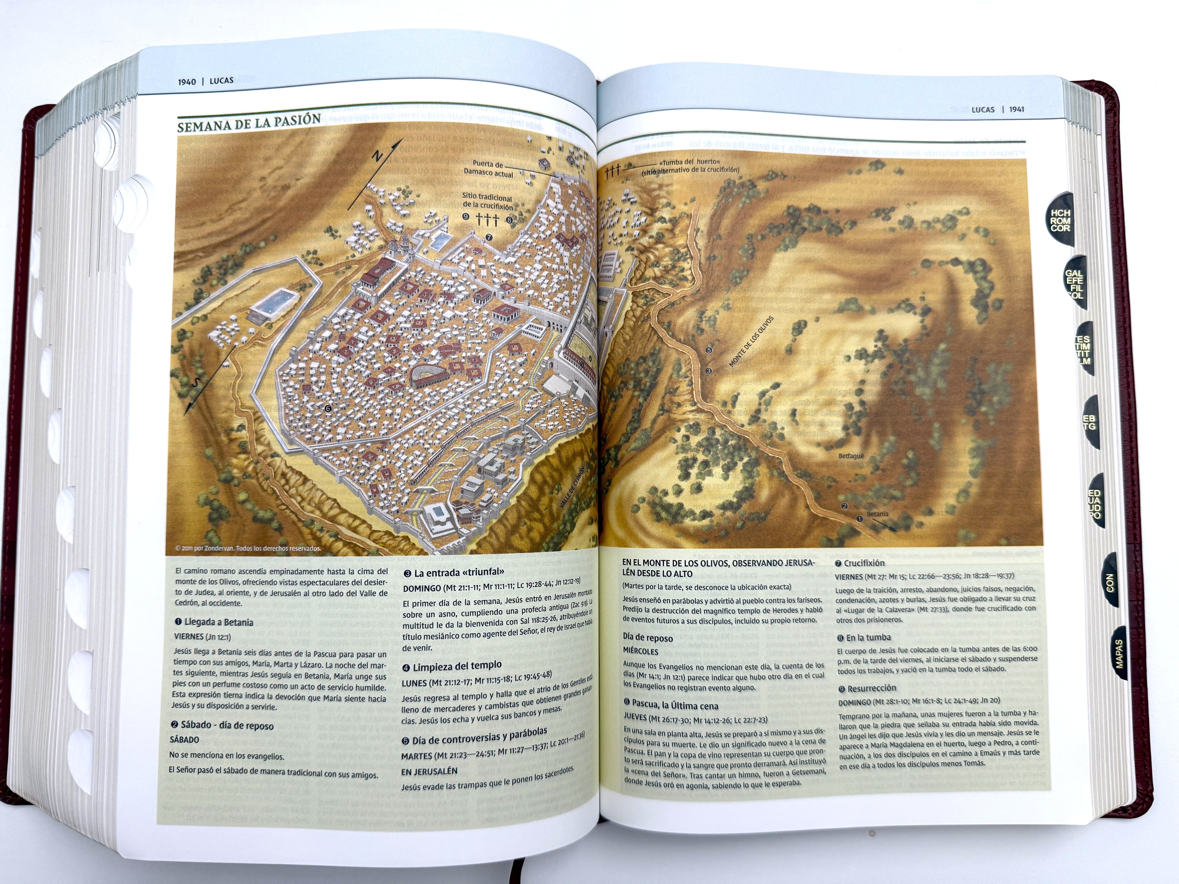Biblia de estudio Teología Bíblica NVI piel marrón con índice