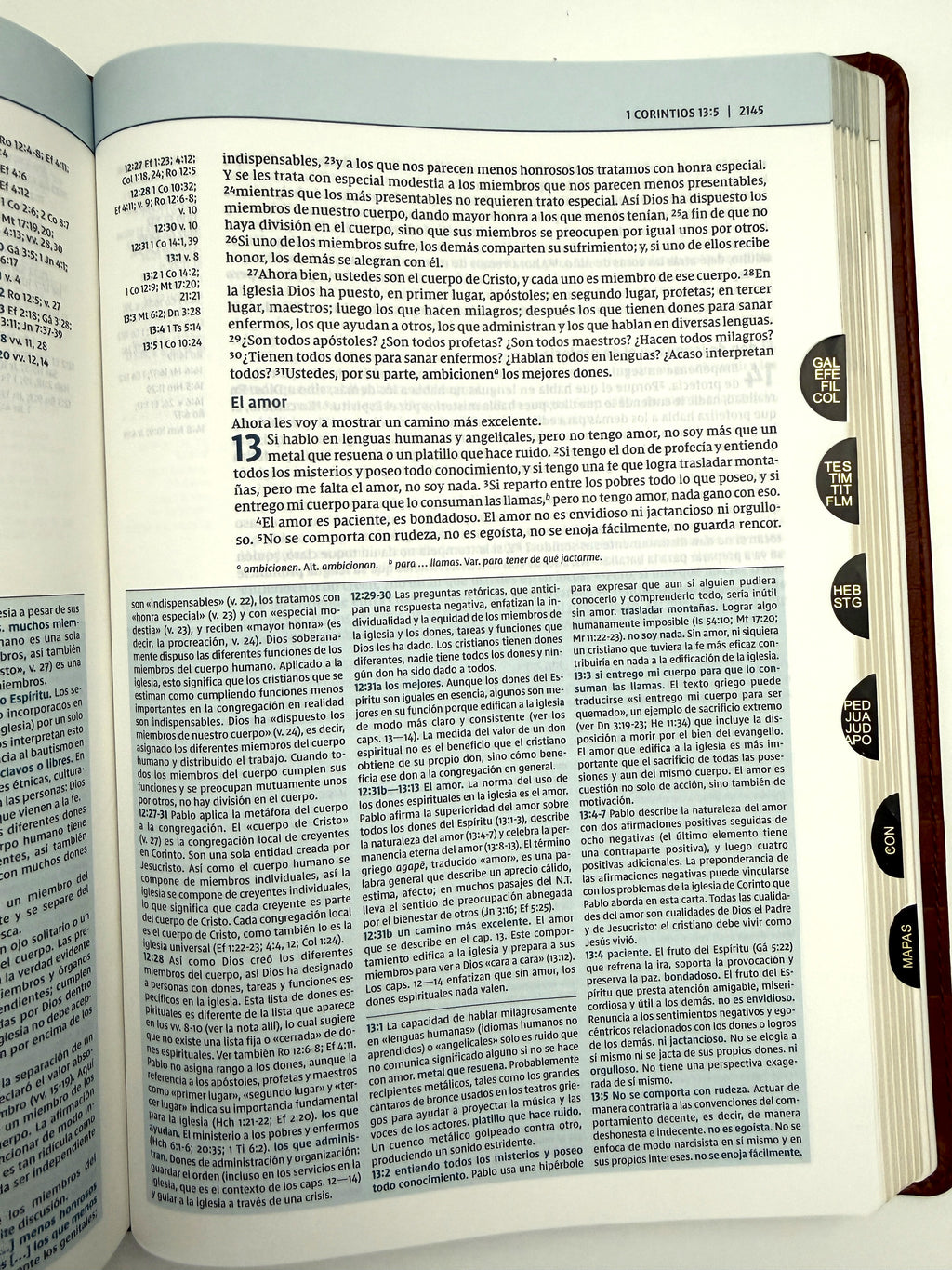 Biblia de estudio Teología Bíblica NVI piel marrón con índice