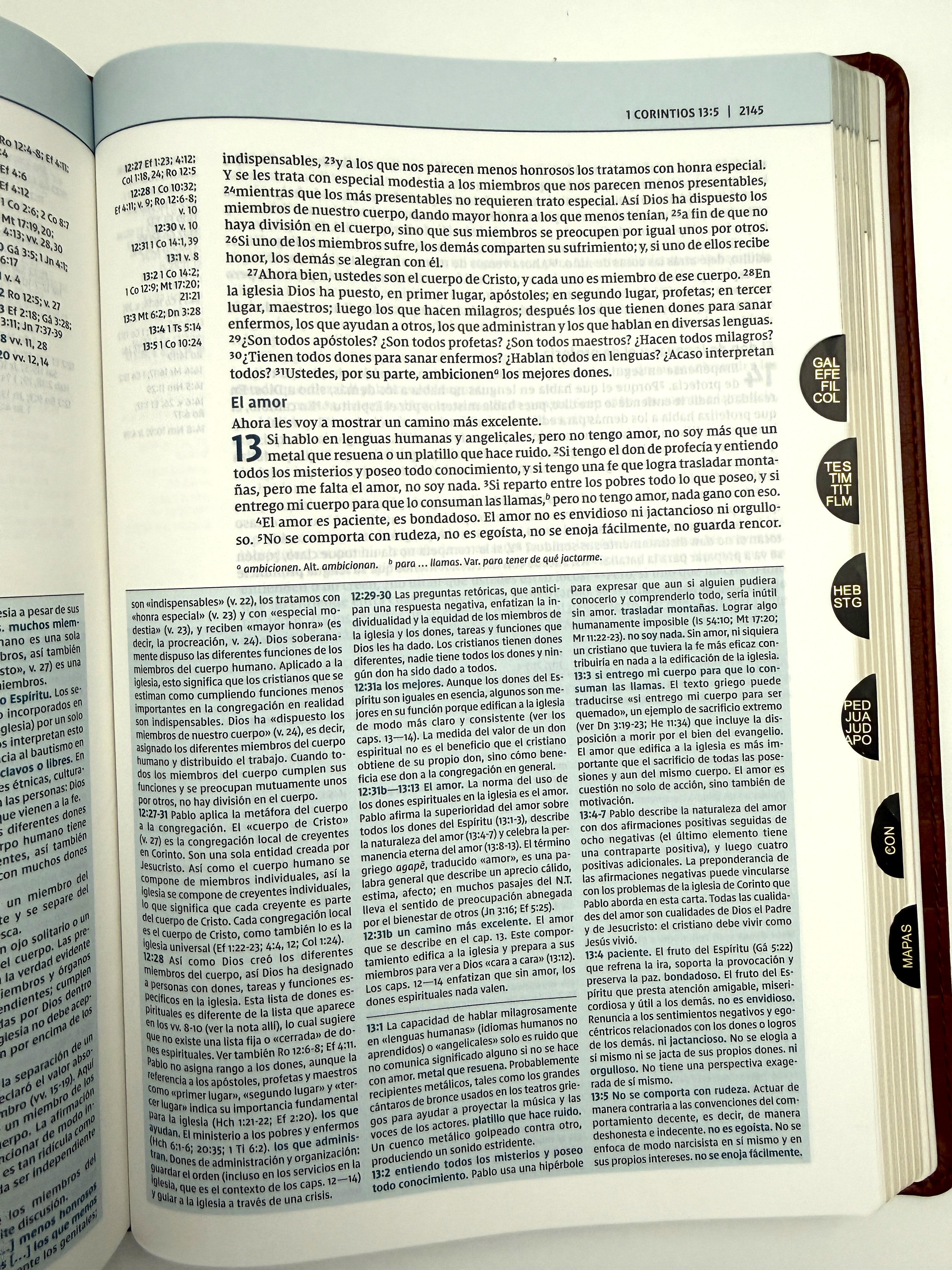 Biblia de estudio Teología Bíblica NVI piel marrón con índice