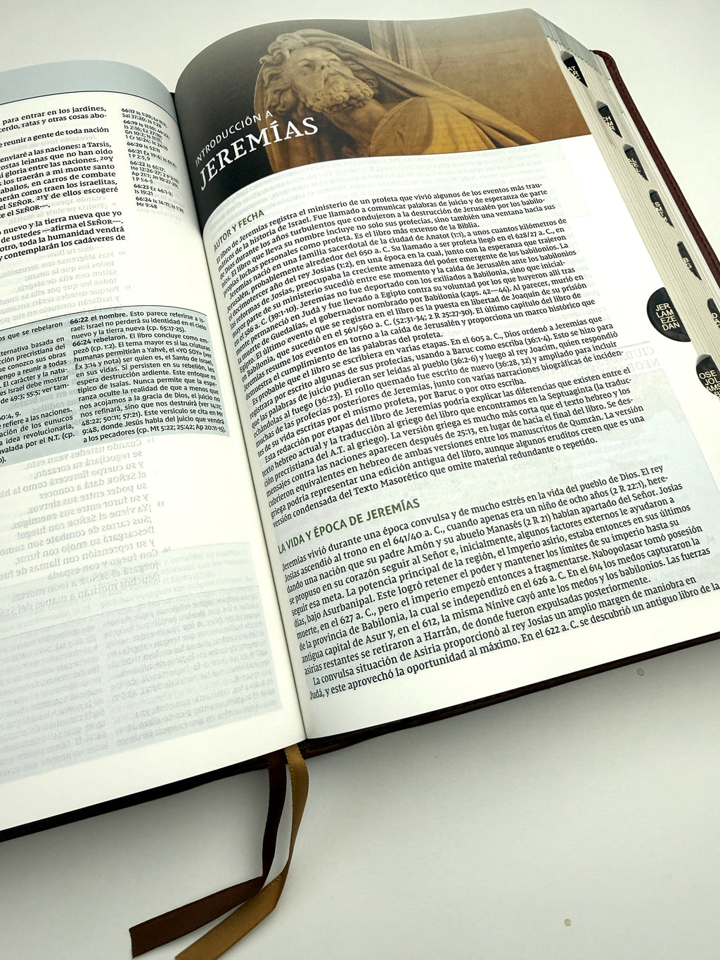 Biblia de estudio Teología Bíblica NVI piel marrón con índice