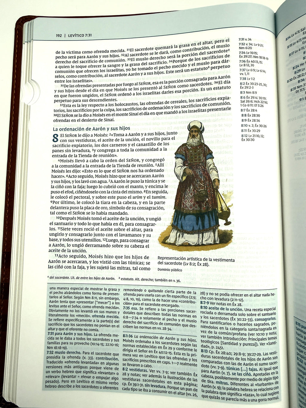 Biblia de estudio Teología Bíblica NVI piel marrón con índice