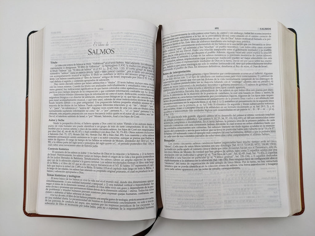 Biblia RVR 1960 de Estudio MacArthur Piel con Índice