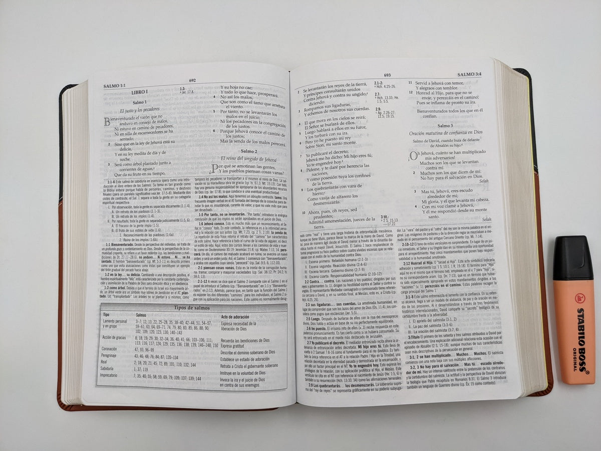 Biblia RVR 1960 de Estudio MacArthur Piel con Índice