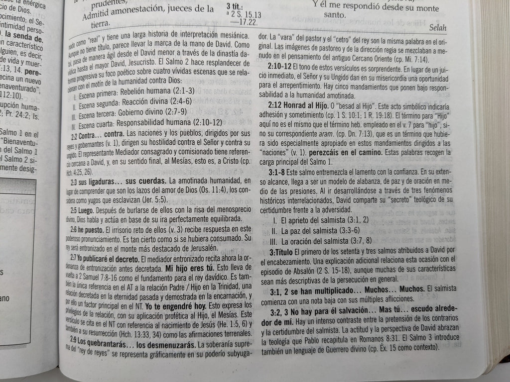 Biblia RVR 1960 de Estudio MacArthur Piel con Índice