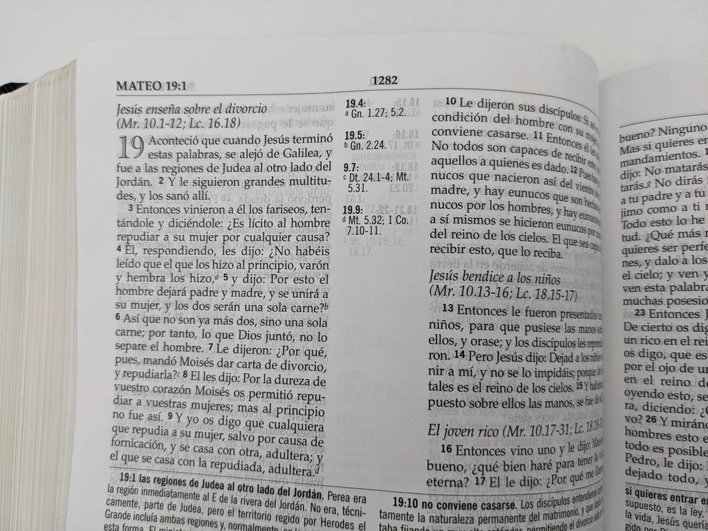 Biblia RVR 1960 de Estudio MacArthur Piel con Índice