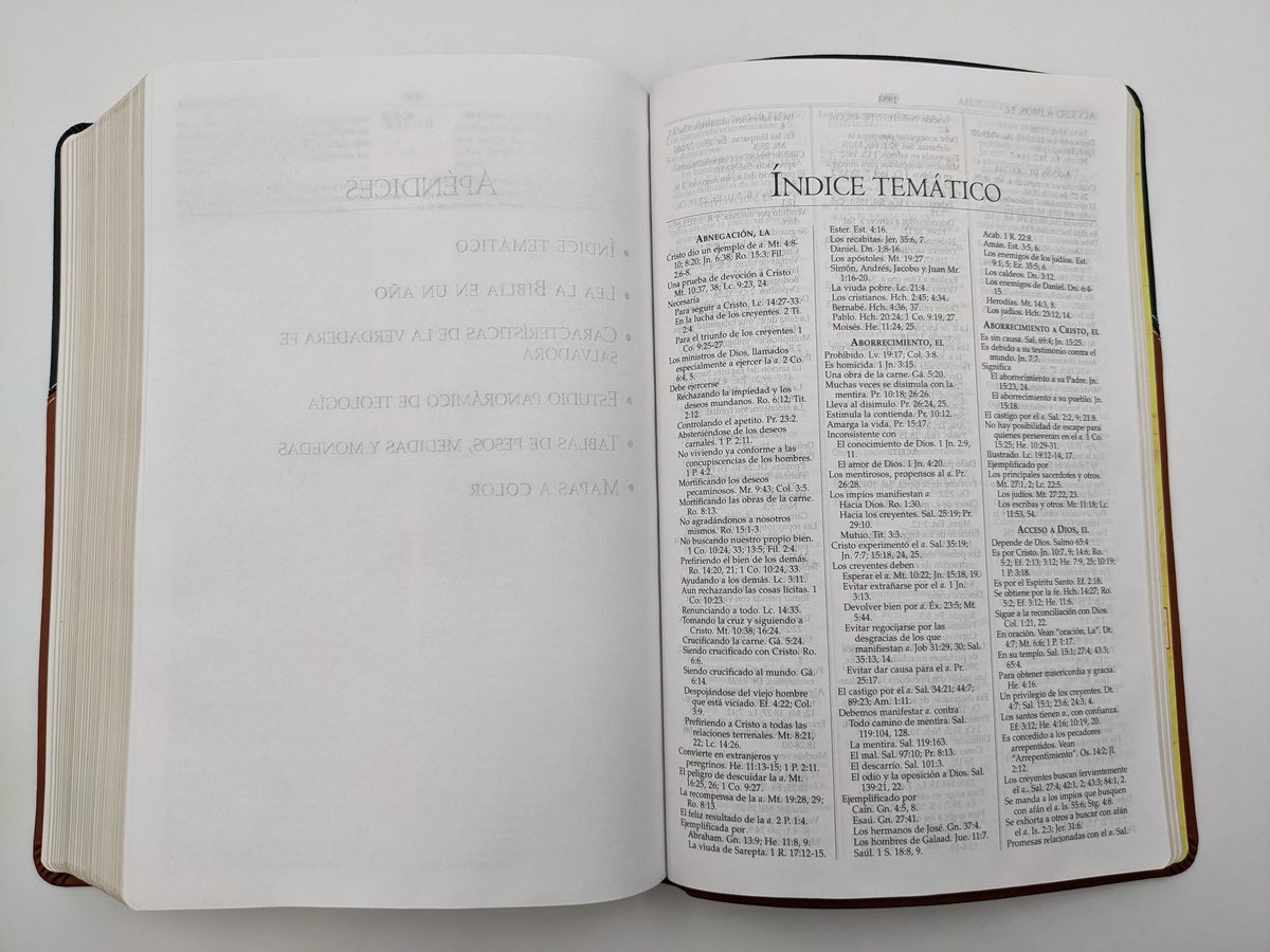 Biblia RVR 1960 de Estudio MacArthur Piel con Índice