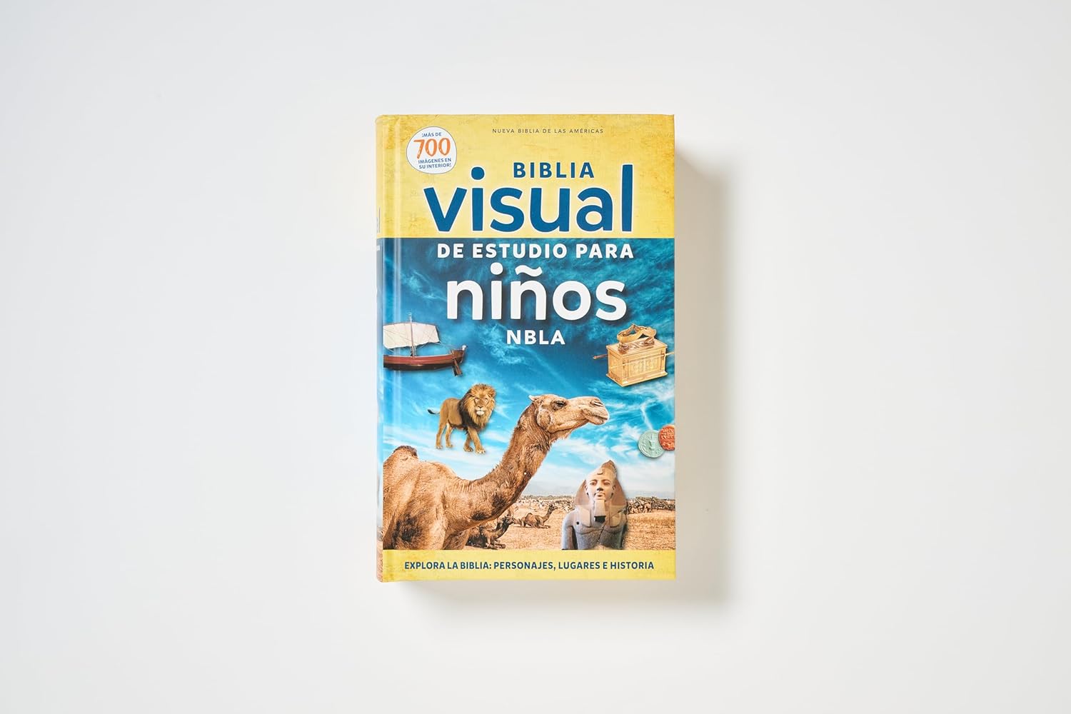 Biblia visual de estudio para niños