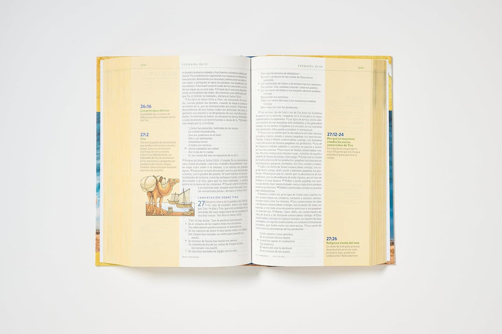 Biblia visual de estudio para niños