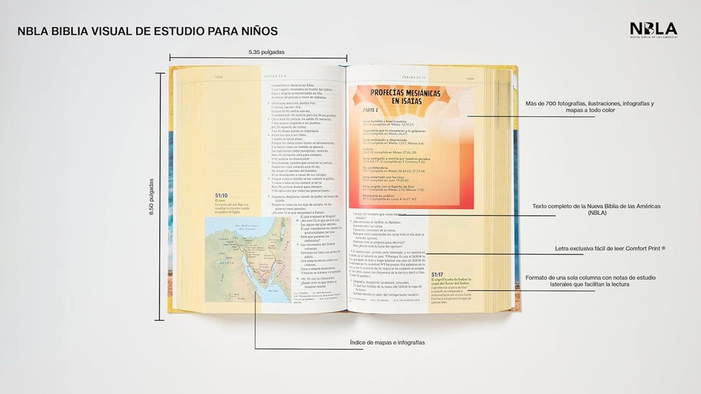 Biblia visual de estudio para niños