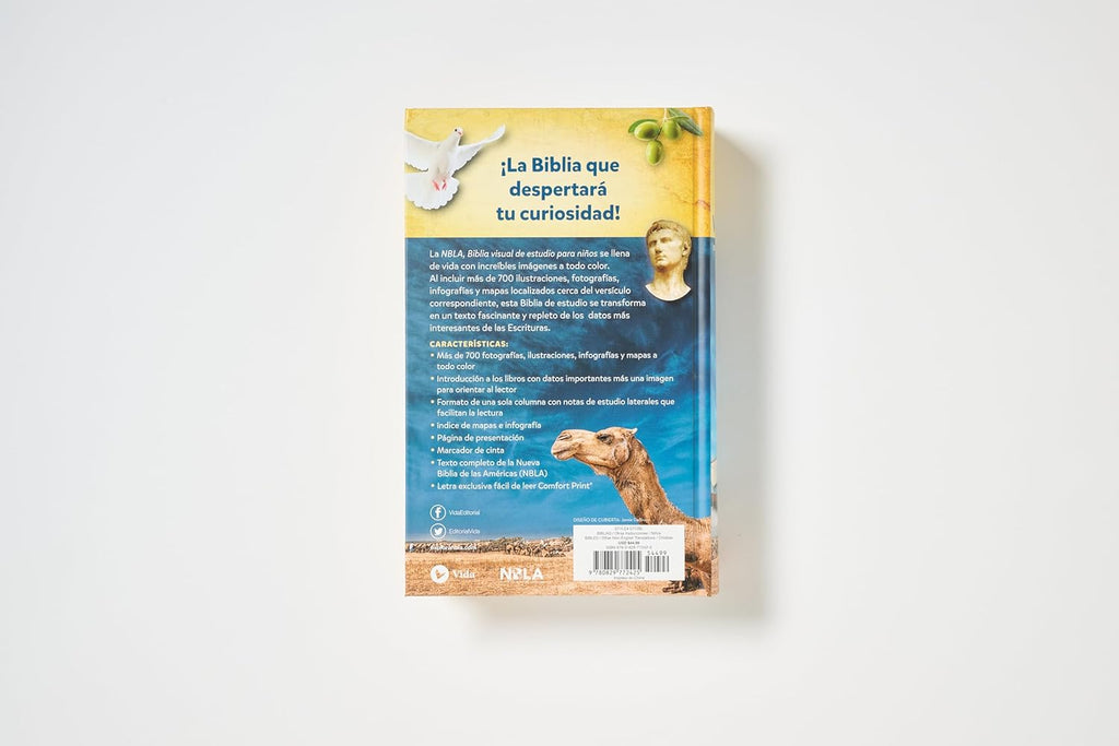 Biblia visual de estudio para niños